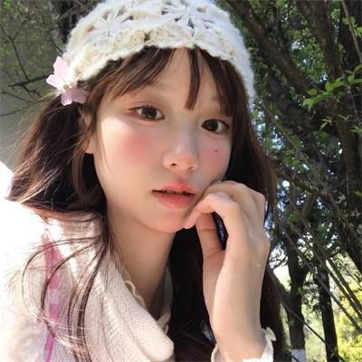 金式森林粤语